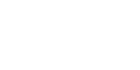 Elegant Chester Place logo by King Rook Capital, showcasing sophisticated typography.