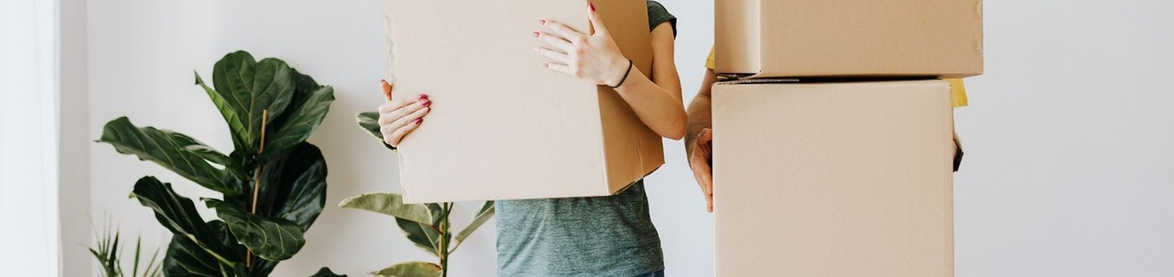 Exciting move-in day with cheerful individuals carrying cardboard boxes in a bright living space with lush indoor plants.
