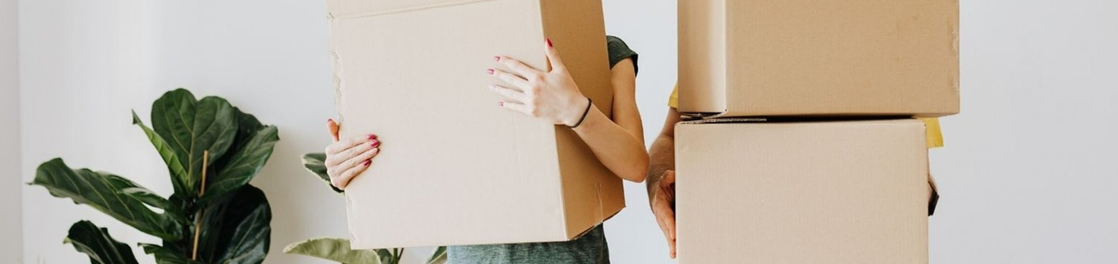 Bright apartment interior with lush plant and happy couple holding moving boxes, symbolizing a fresh start and new beginnings.
