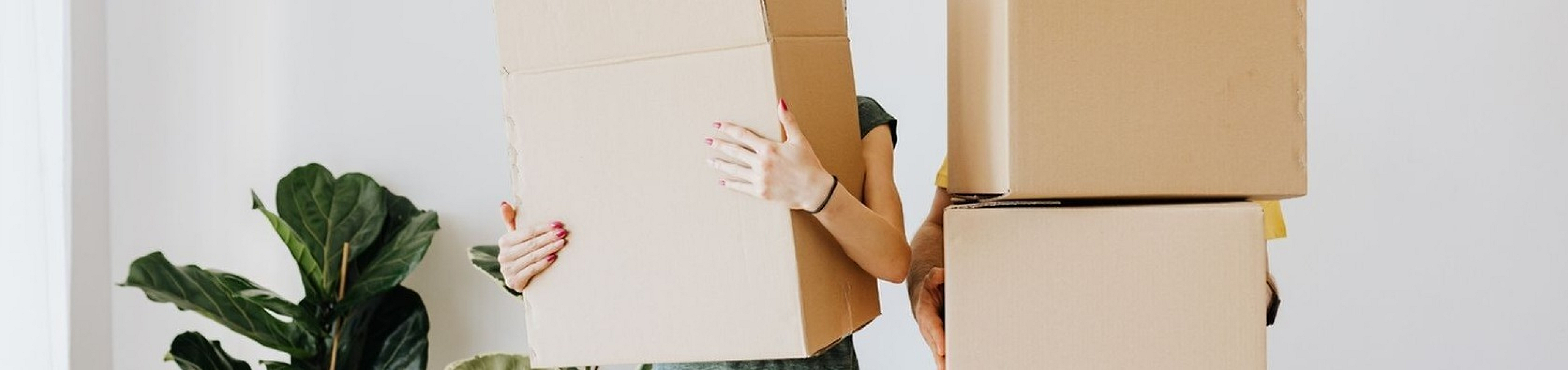 Exciting new beginnings as a couple holds moving boxes in a bright and inviting apartment space with vibrant green plants.