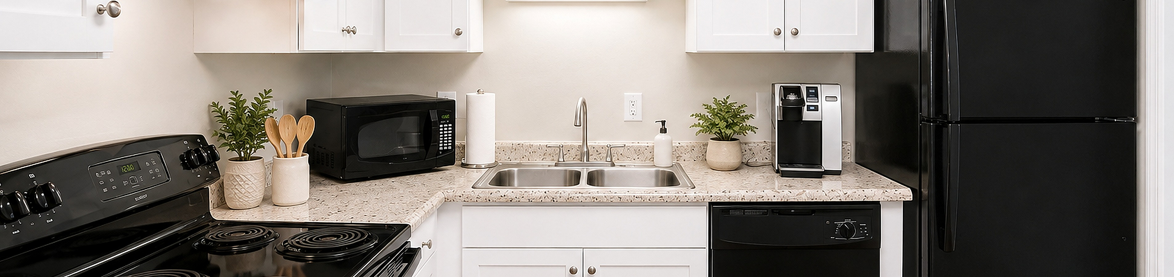 Modern kitchen with sleek black appliances, white cabinetry, and granite countertops, accented by potted plants and a convenient coffee maker.