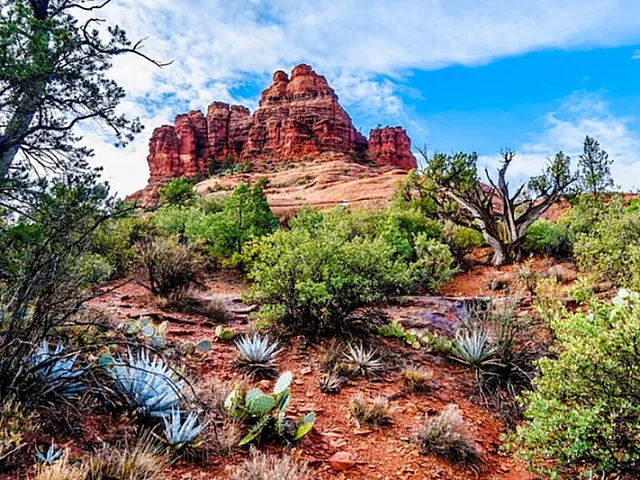Coconino National Forest