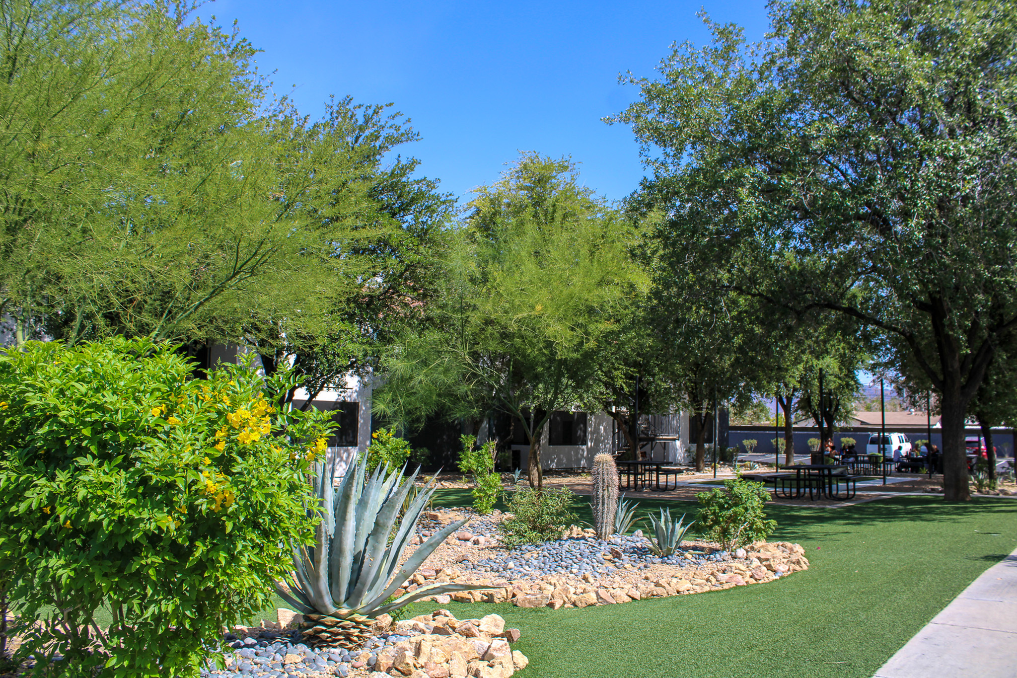 Lush garden area in apartment complex featuring vibrant greenery, stone landscaping, and picnic tables under the shade of mature trees.