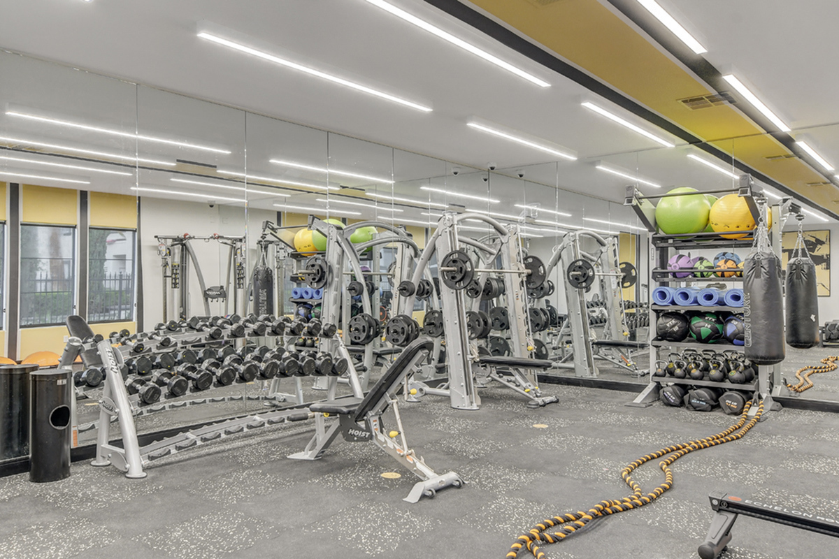 Modern fitness center with a full range of gym equipment, mirrors, and vibrant exercise balls, perfect for diverse workouts.