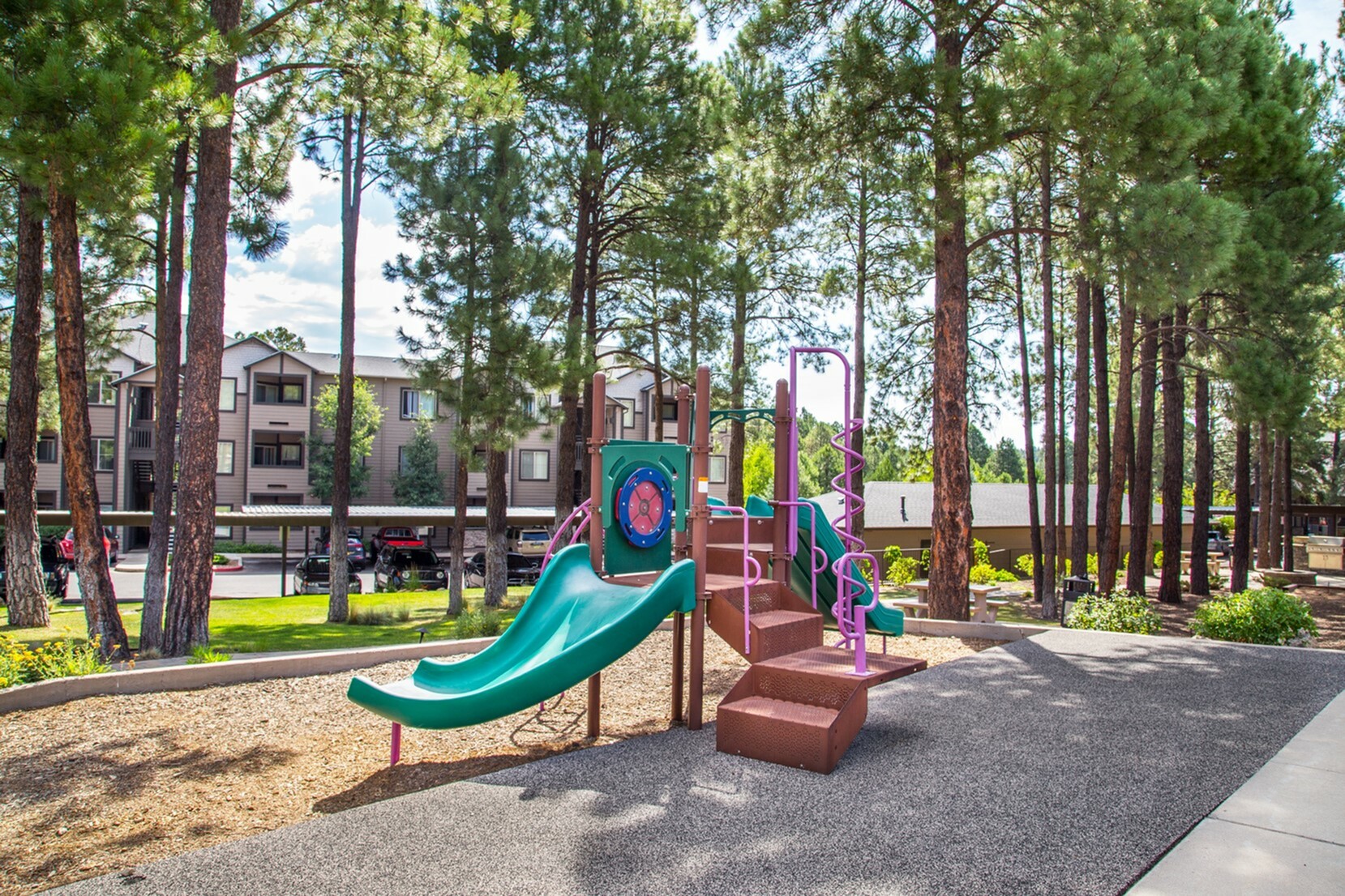 Charming outdoor playground with vibrant equipment surrounded by lush pine trees in a peaceful apartment community setting.