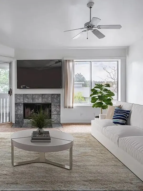 Staged Living Room