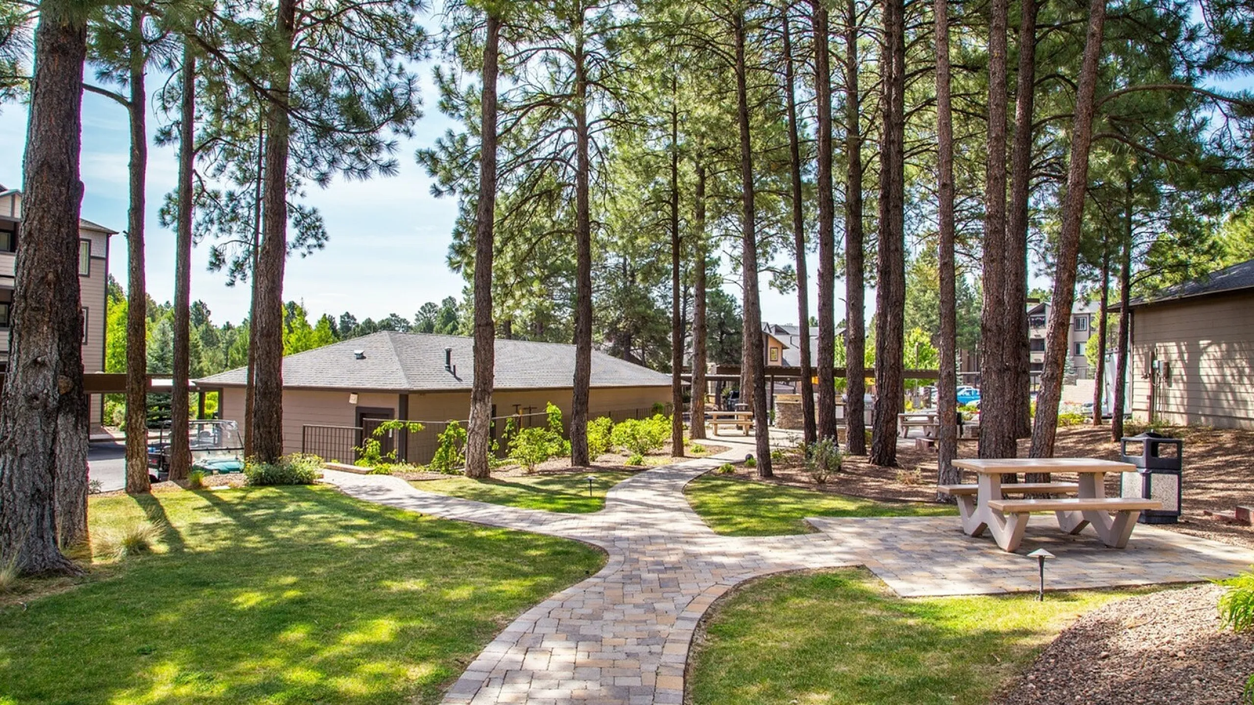 The Lodge