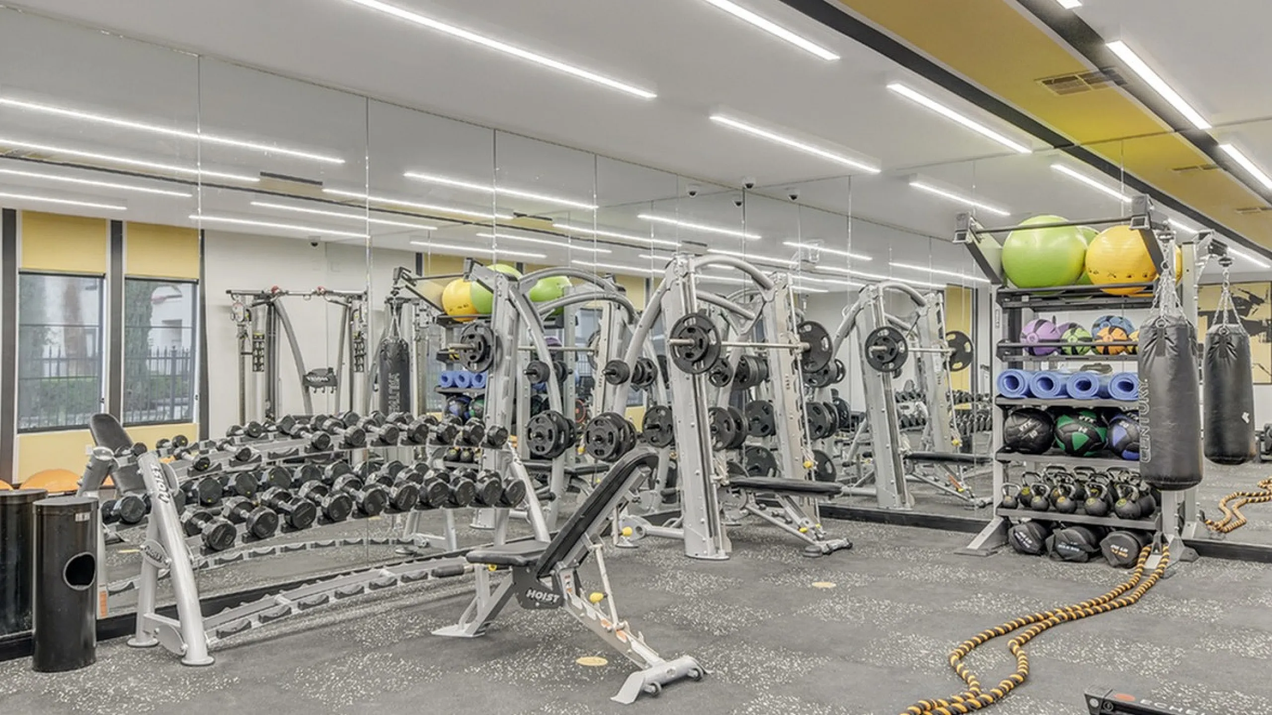 Modern fitness center equipped with free weights, exercise machines, and vibrant workout balls in a well-lit space.