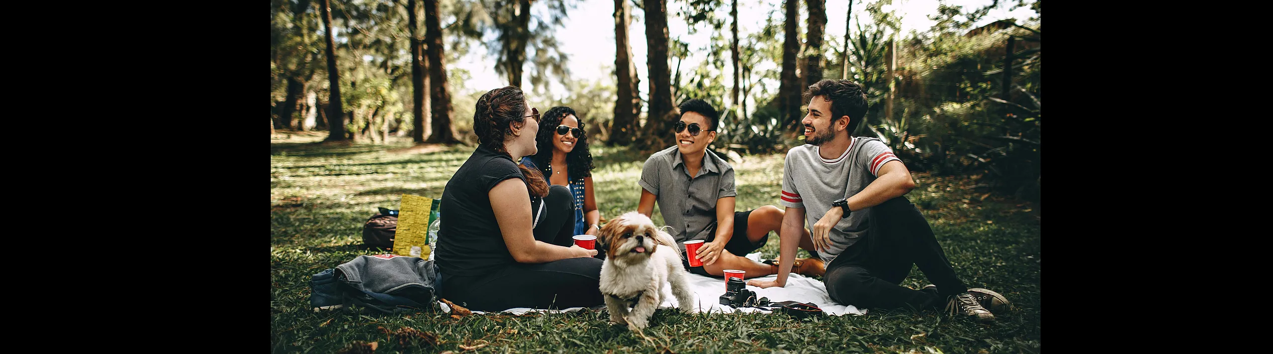 Vibrant outdoor picnic in a lush green park with a group of friends sharing laughter, sunshine, and companionship.