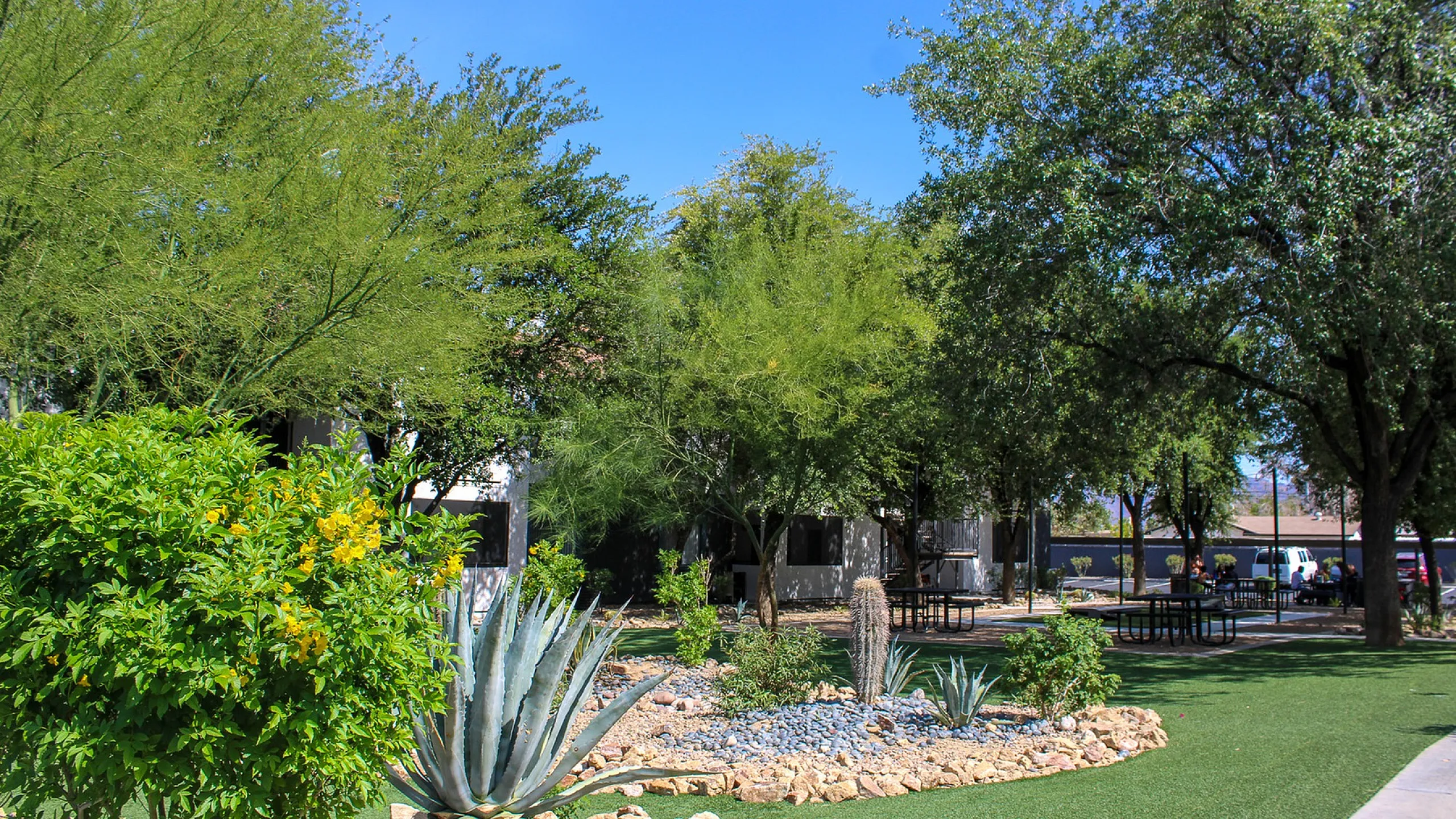 Lush apartment garden landscape featuring vibrant greenery, mature trees, and a charming cactus rock garden under a clear blue sky.