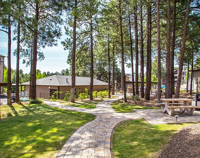 Charming outdoor space in a serene apartment complex, featuring lush green lawns and a picturesque stone path winding through tall pine trees, perfect for relaxation and community leisure.