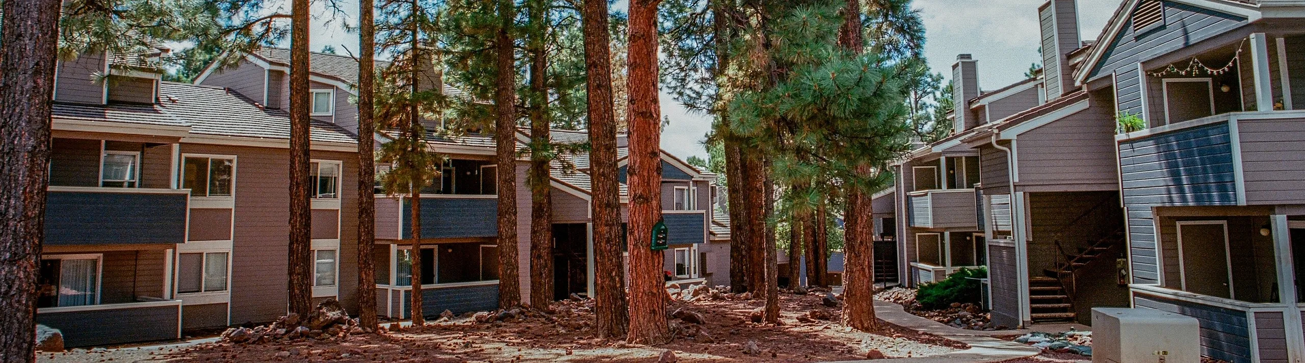 Charming apartment complex nestled among tall pine trees, offering a tranquil and picturesque living environment.