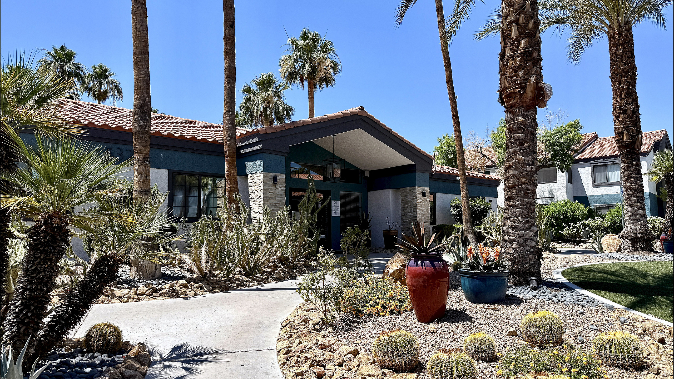 Charming desert-style home with vibrant landscaping featuring cacti and palm trees under a clear blue sky.