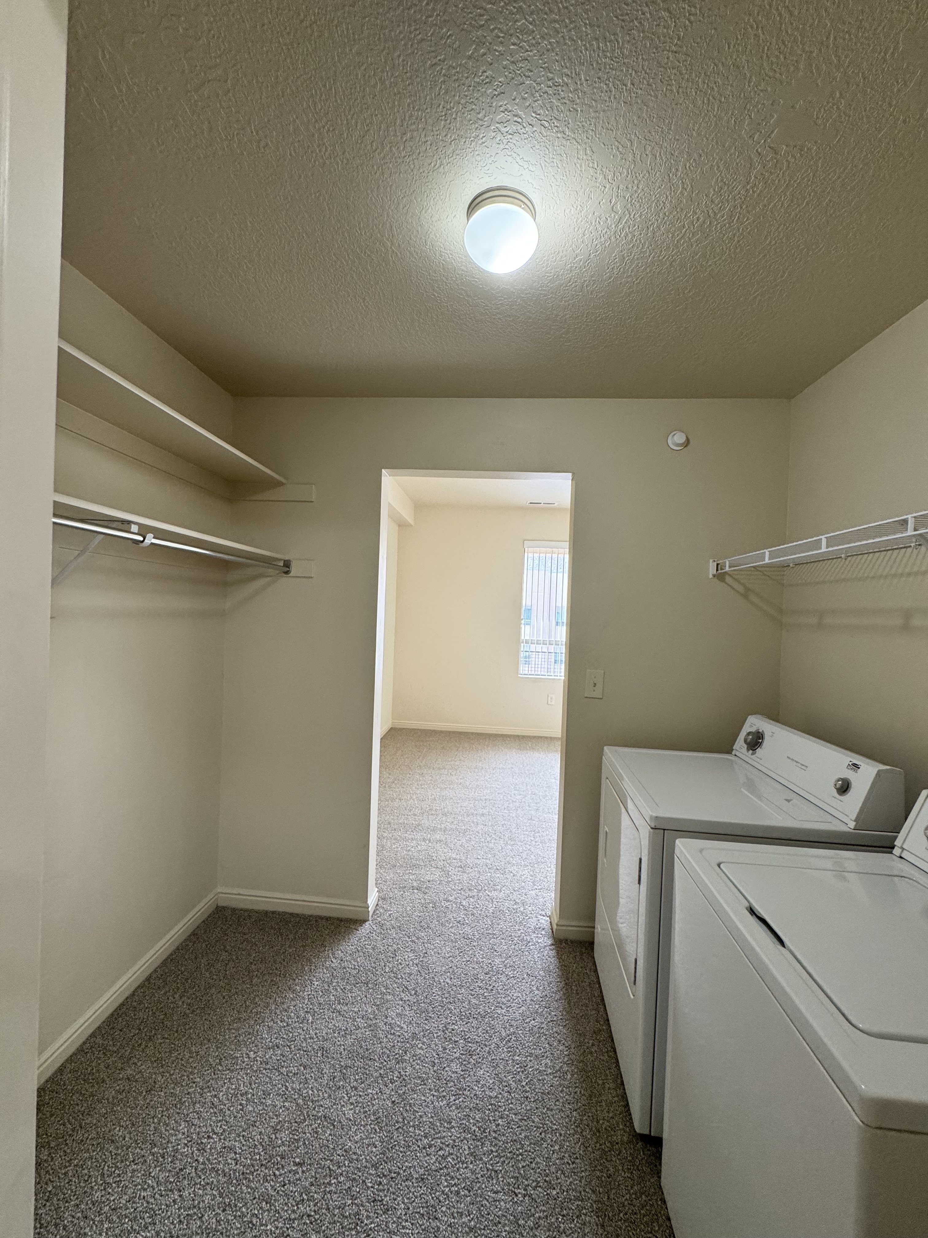 Bright laundry room with modern washer and dryer, ample shelving, and plush carpeting leading to a sunlit living area.