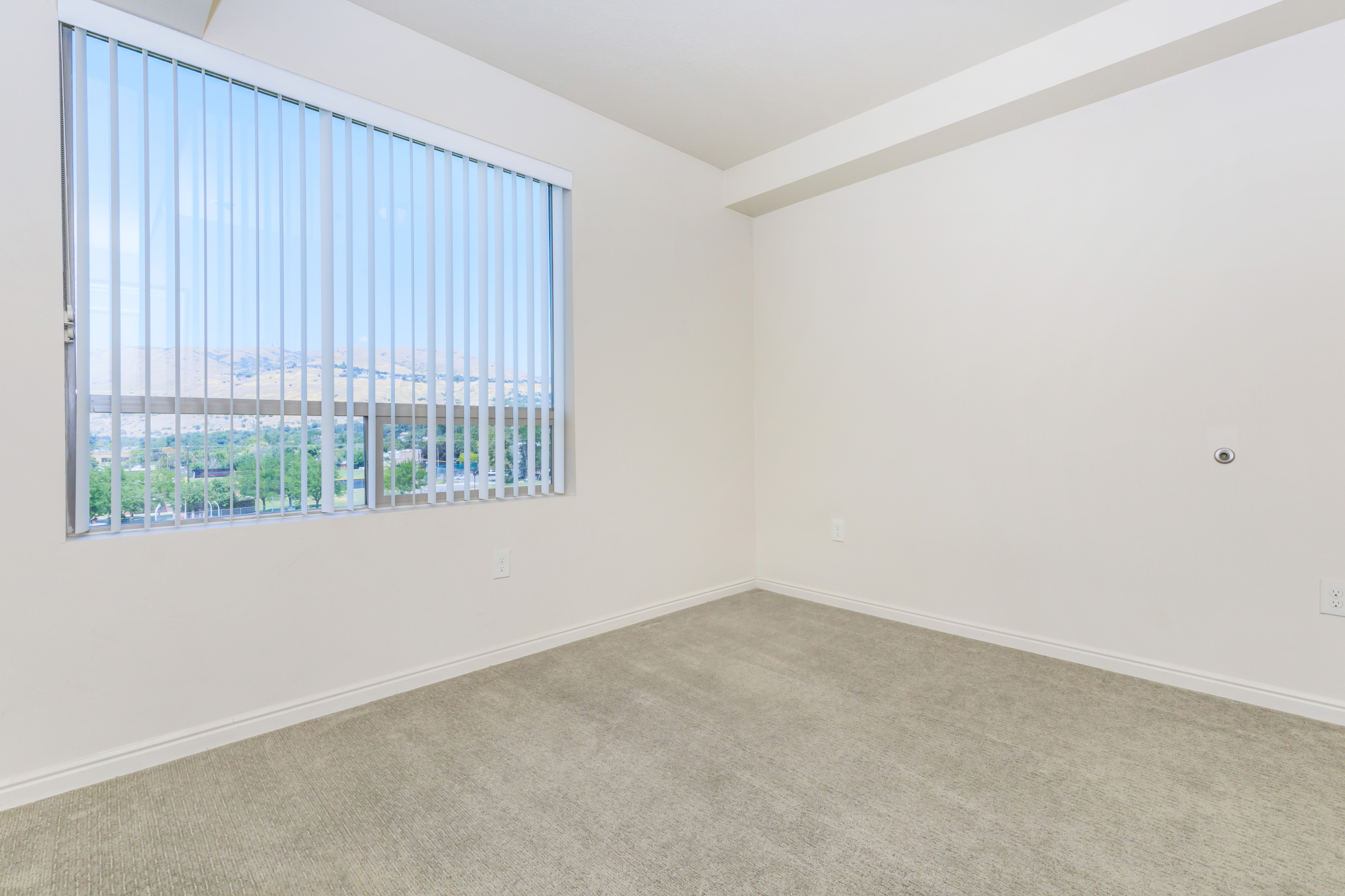 Bright, inviting room with large windows offering scenic views and natural light, featuring plush carpet flooring.