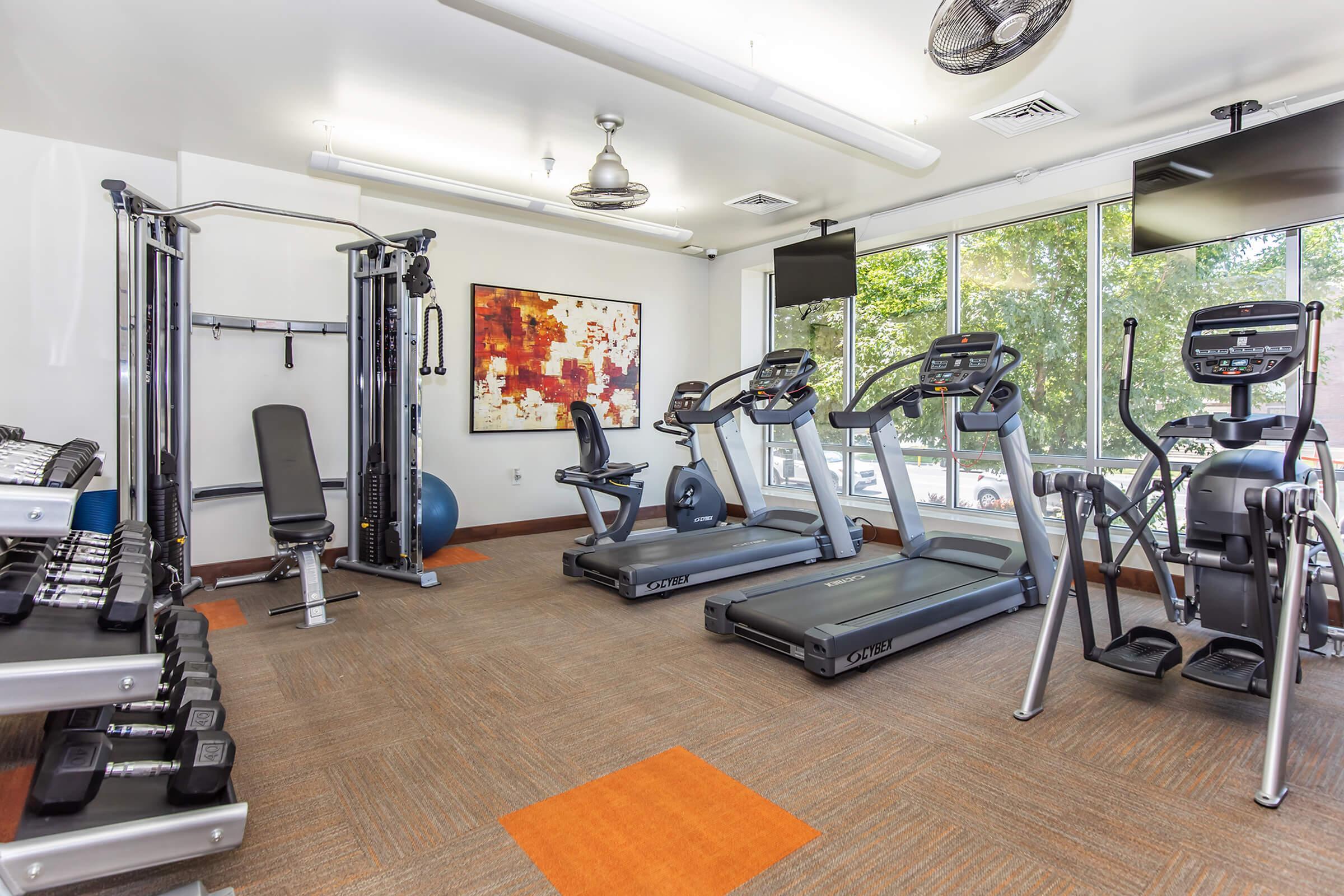 Bright and modern fitness room featuring sleek treadmills, versatile exercise machines, and vibrant wall art with ample natural light.