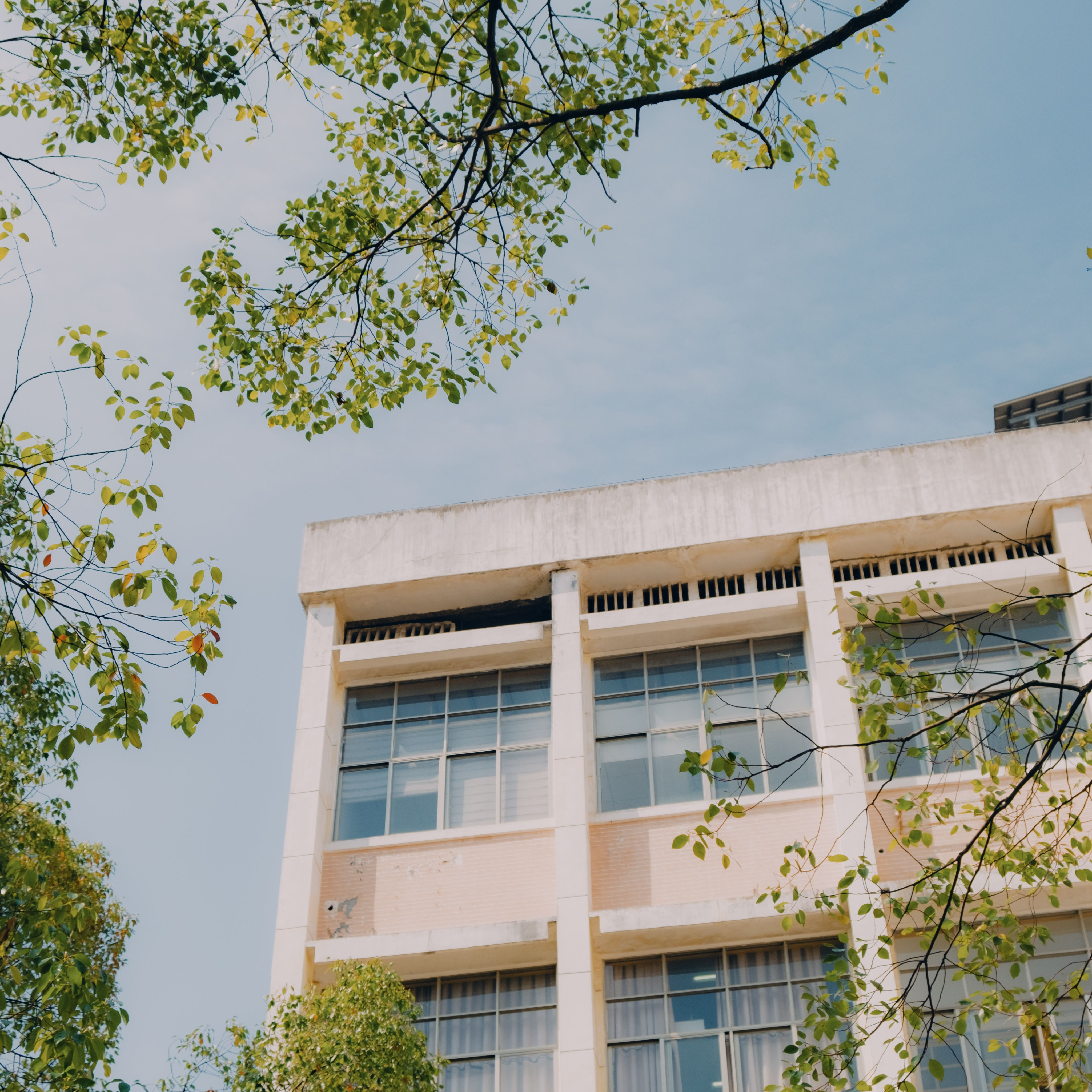 Houston Methodist Willowbrook Hospital: Renter's Guide-image