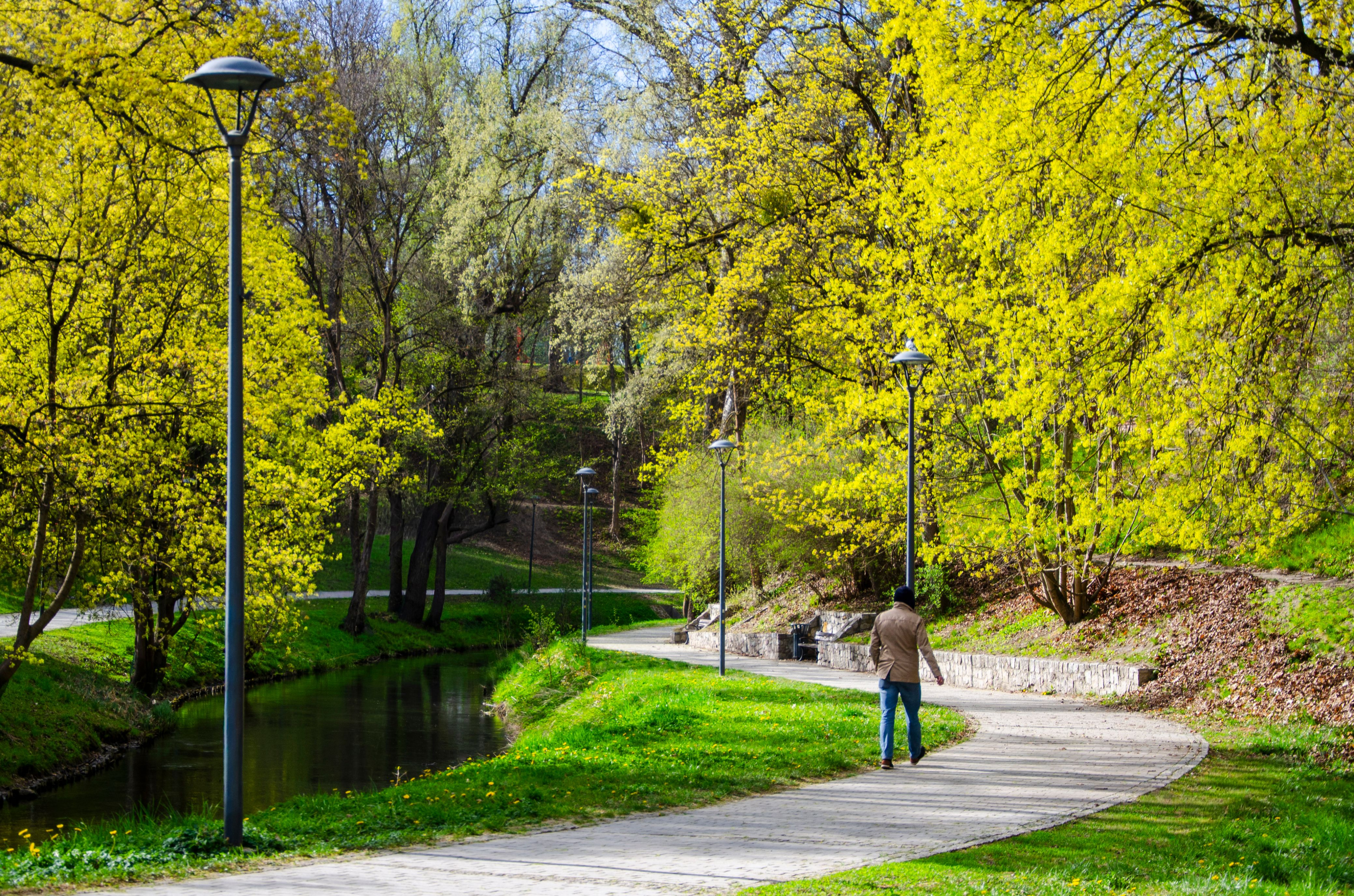 Parks, Restaurants, and Weekend Spots Near Dakota Apartments-image