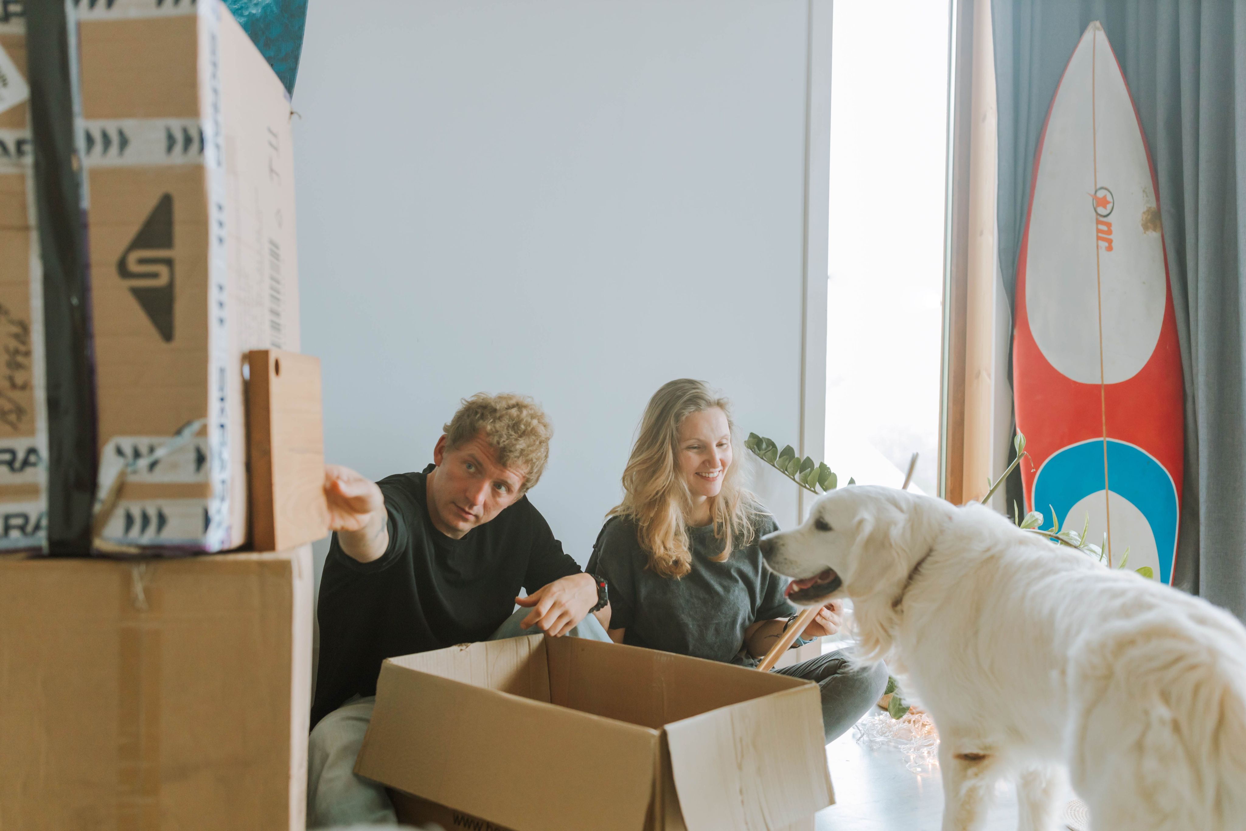 Moving Into a Pet-Friendly Studio: A Smart 2026 Guide-image