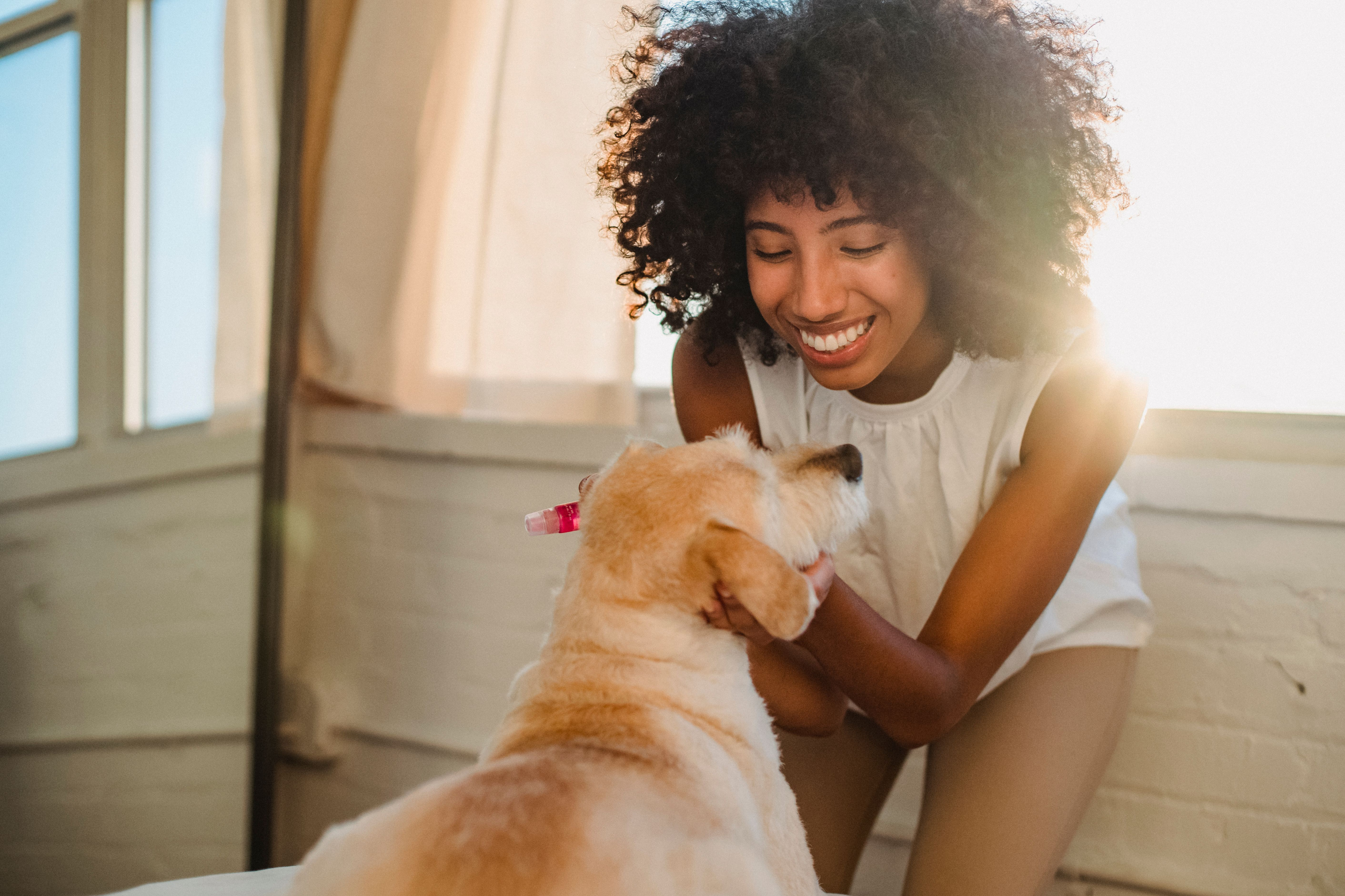Pet-Friendly Apartments in Albuquerque, NM: Smart 2026 Guide-image