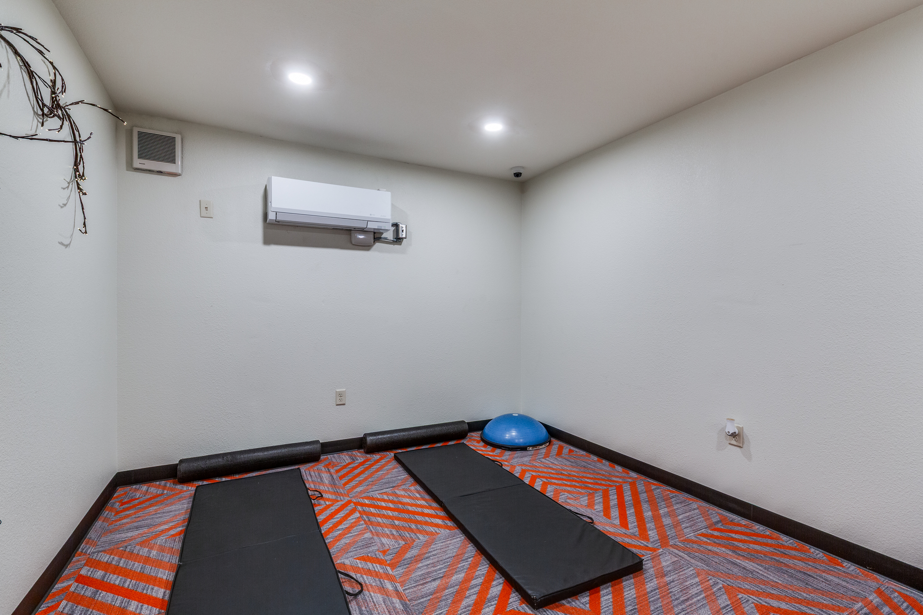 Modern home gym with vibrant carpet, yoga mats, and exercise equipment in a cozy, well-lit room.