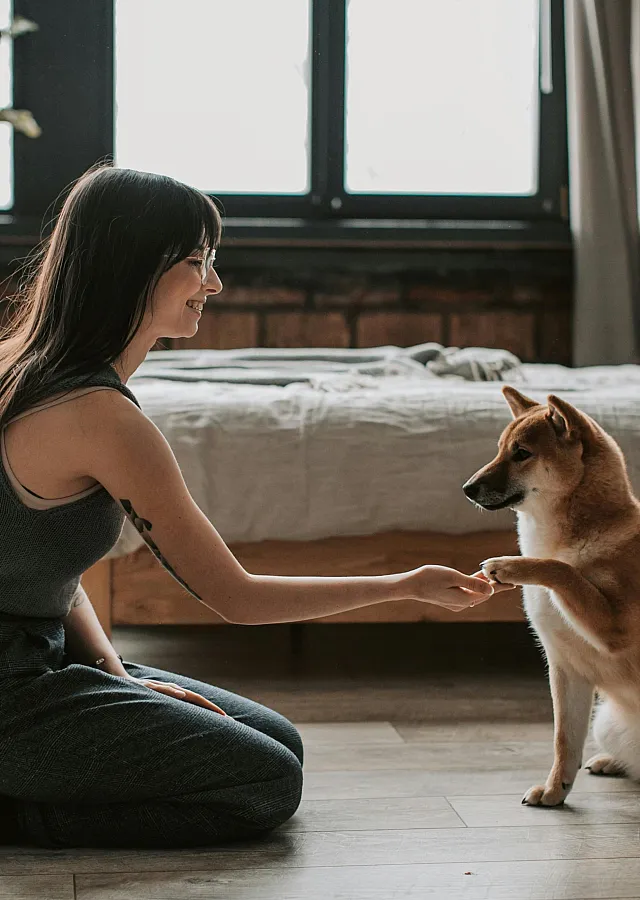 Cozy bedroom with rustic brick walls, featuring a playful dog and a person enjoying a moment on a wooden floor.