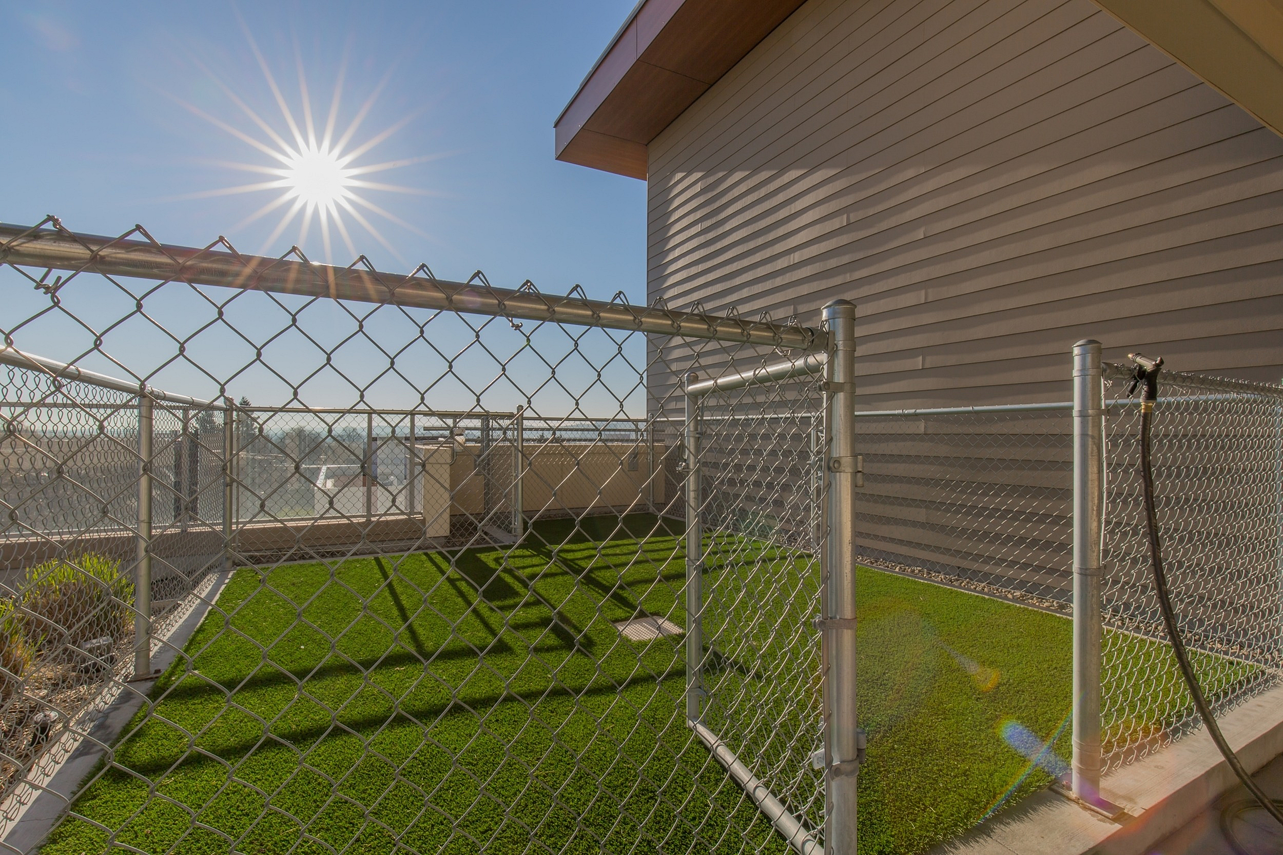 Bright rooftop terrace with green artificial turf, surrounded by a secure chain-link fence, under a clear blue sky.