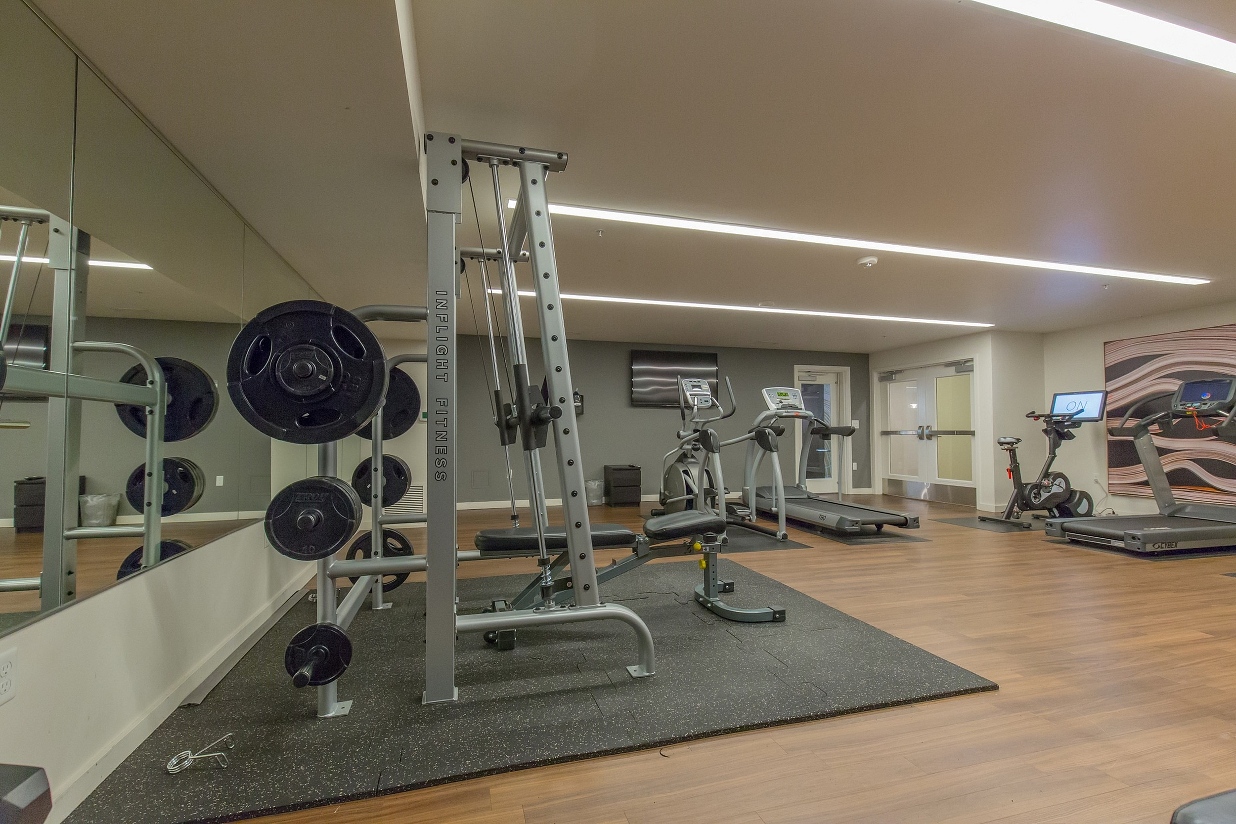Modern apartment gym with state-of-the-art equipment, featuring treadmills, weight station, and sleek design perfect for fitness enthusiasts.