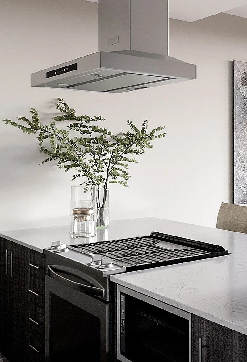 Modern kitchen design featuring a sleek stainless steel range hood, elegant dark cabinetry, and a minimalist countertop with greenery.