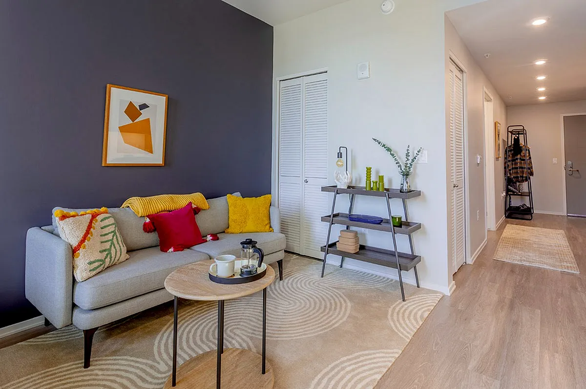 Inviting living room with stylish gray sofa, vibrant pillows, and modern decor against a chic dark accent wall.