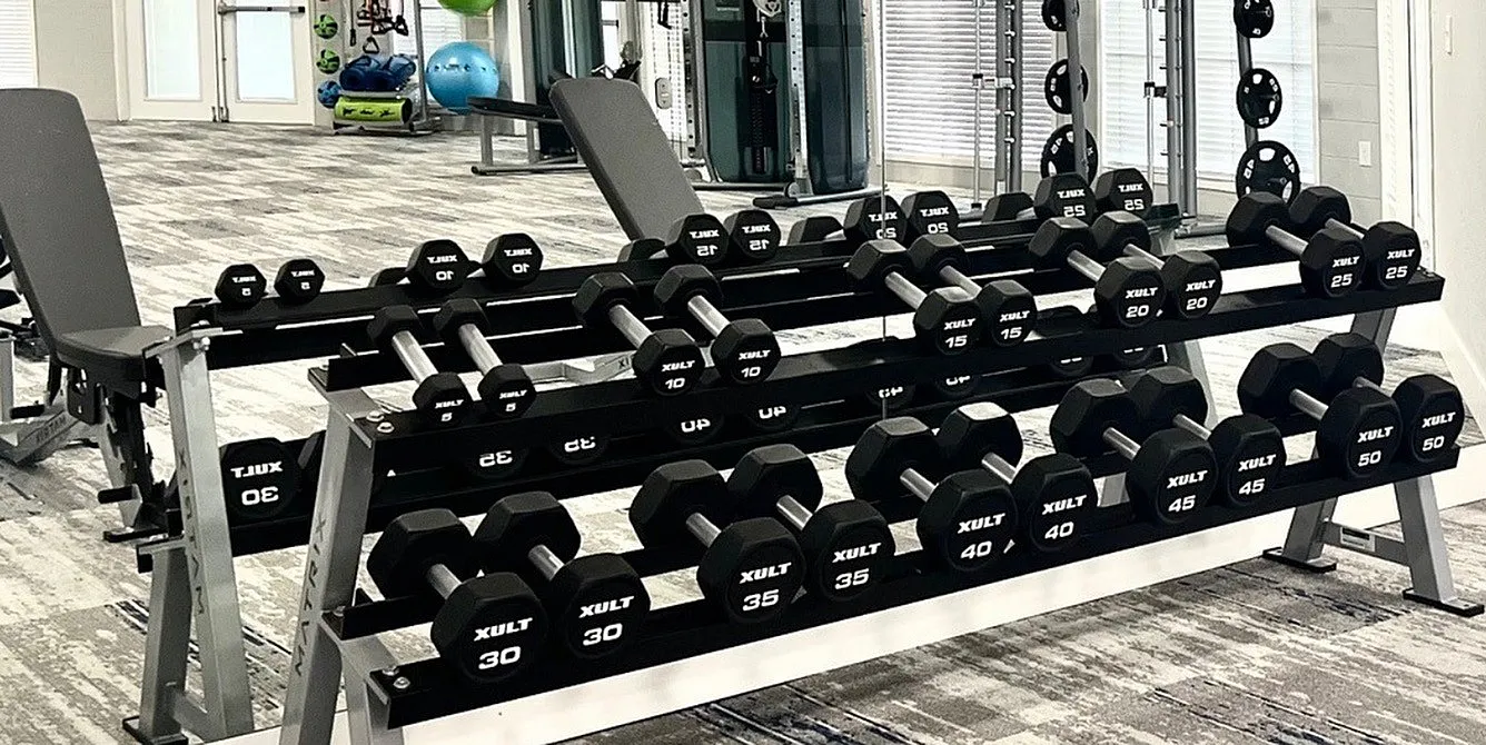 Modern fitness center with an extensive collection of free weights and exercise equipment for a full-body workout.