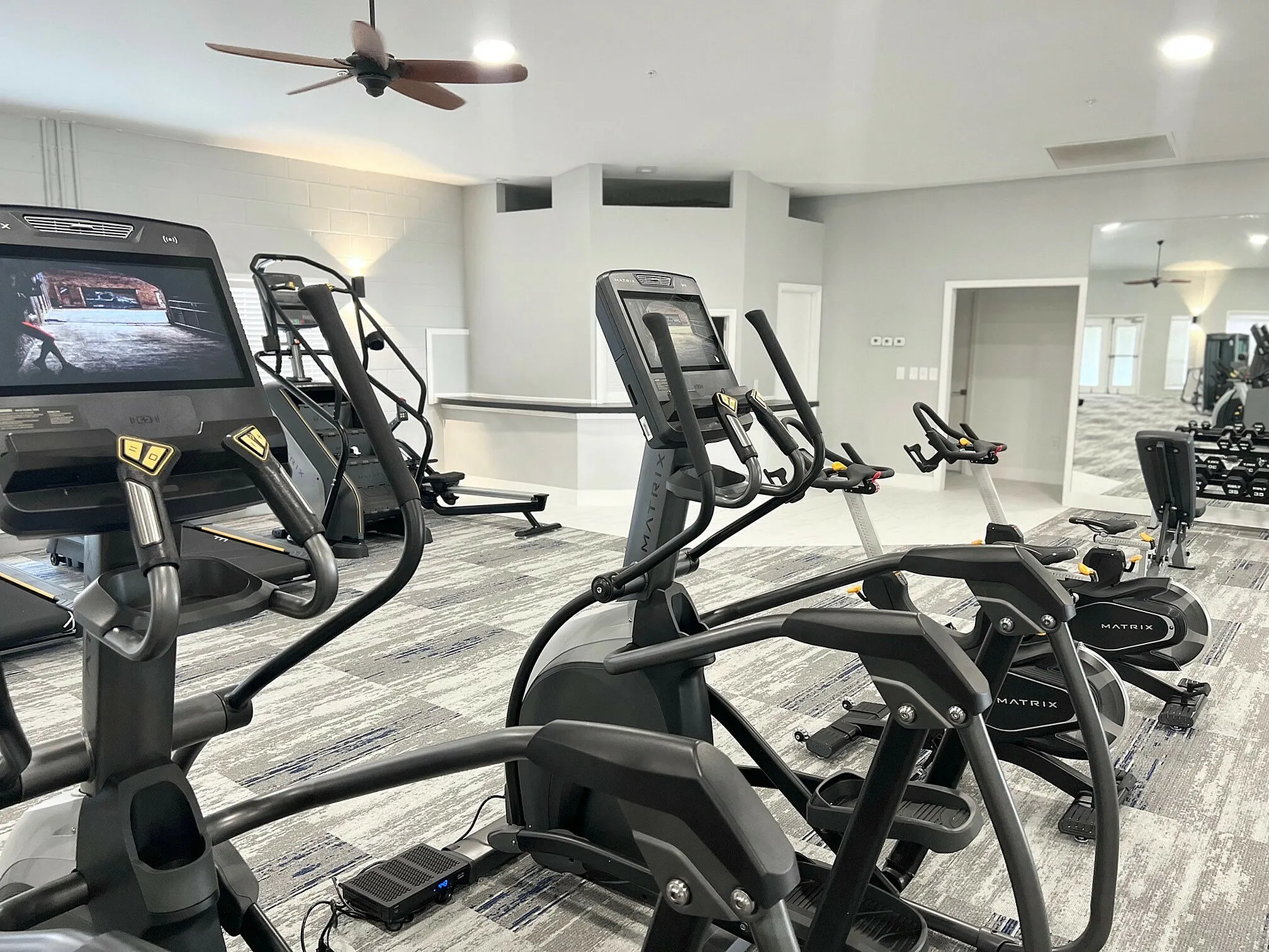 Modern apartment gym equipped with state-of-the-art exercise machines, sleek design, and ample natural light.