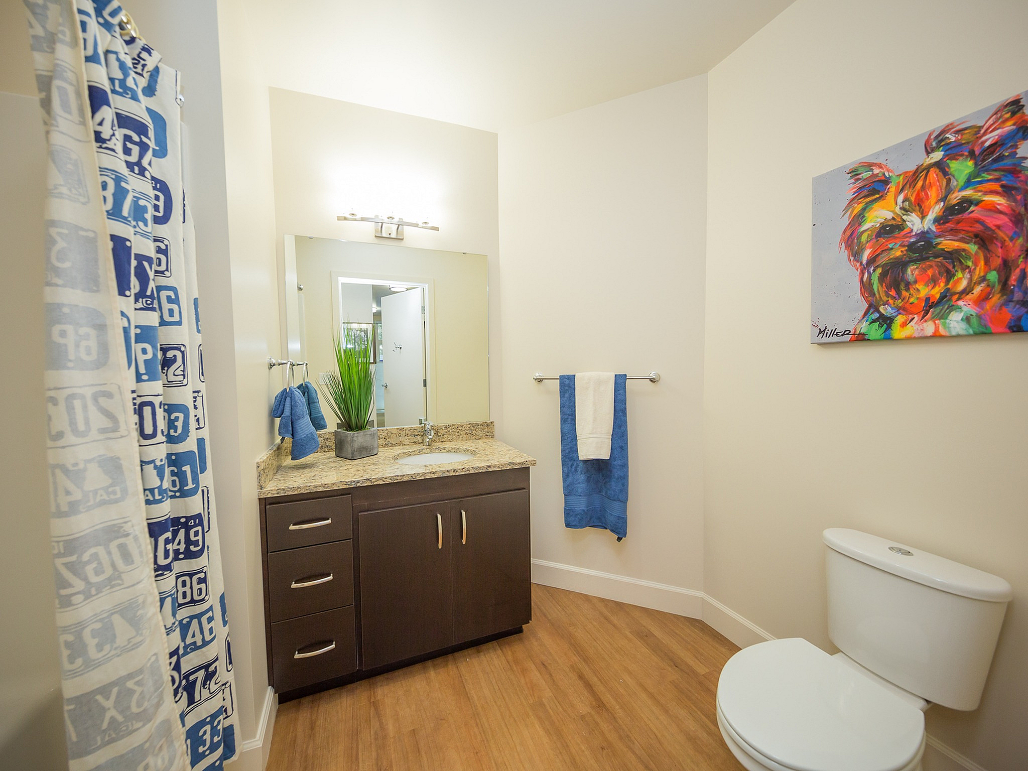 Modern bathroom with elegant hardwood floors, stylish granite countertop, and vibrant wall art, perfect for a contemporary home.