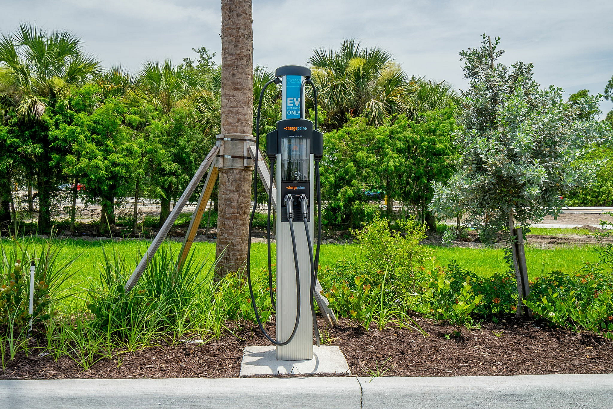 Eco-friendly EV charging station set amidst lush greenery, perfect for sustainable living enthusiasts.