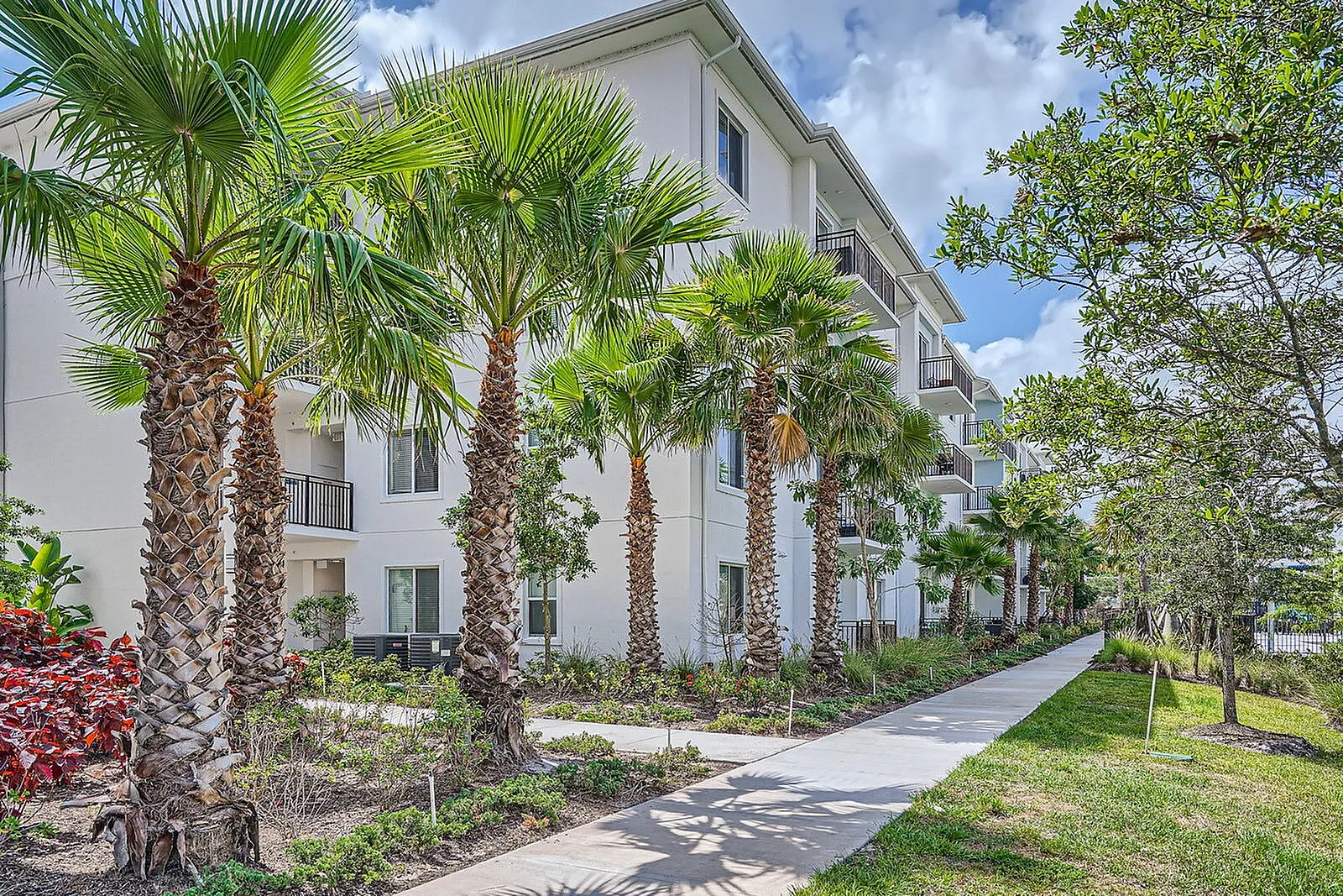 Charming exterior of a modern apartment building surrounded by lush palm trees and vibrant greenery, offering a tropical oasis feel.