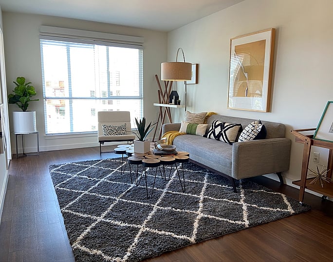 Bright and modern living room with large windows, stylish decor, and a cozy gray sofa on a patterned rug.