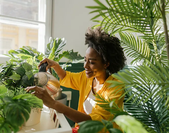Sunlit cozy apartment with vibrant indoor plants and a woman joyfully tending to her green sanctuary, creating a fresh and inviting atmosphere.