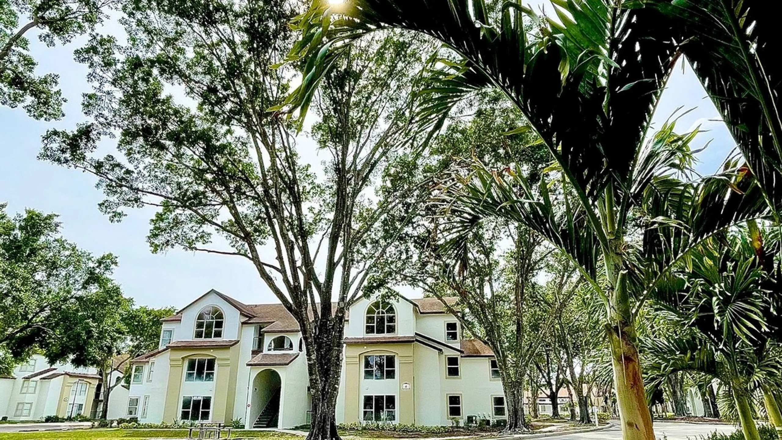 Charming residential building nestled among lush trees and palm-lined paths, bathed in warm sunlight.