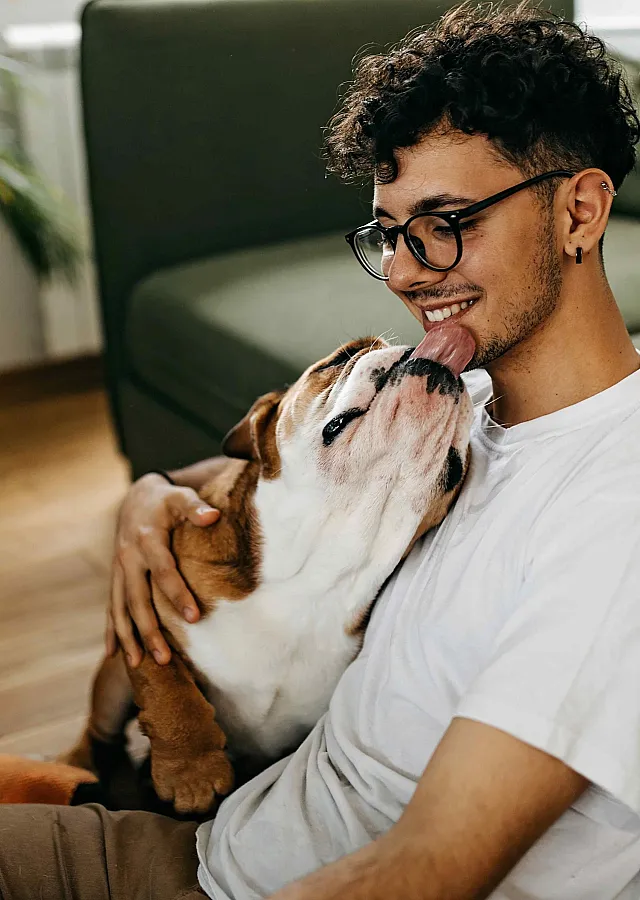 Cozy living room setting with a joyful person cuddling a playful dog on a stylish green sofa, perfect for pet lovers.