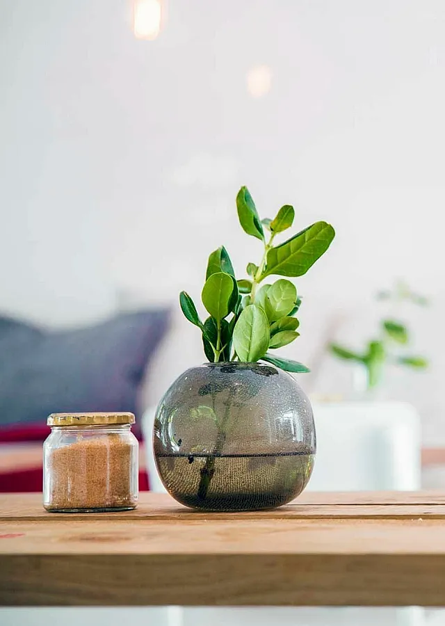 Chic living room with a wooden table adorned by a stylish potted plant and decorative jar, exuding modern elegance and tranquility.