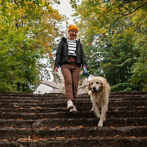 Smiling woman in autumn attire walking with a golden retriever down stone steps in a vibrant, leafy park.