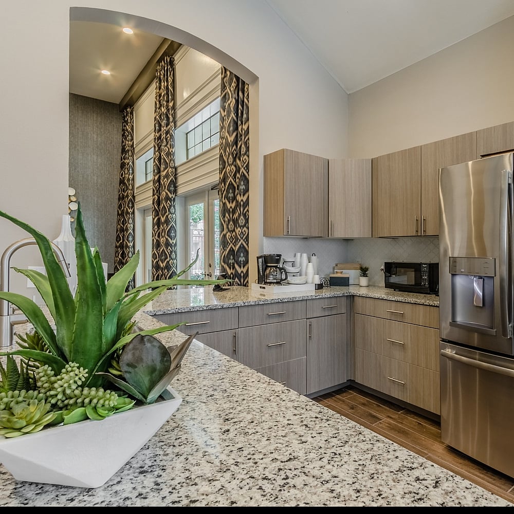 Elegant modern kitchen with granite countertops, sleek cabinetry, stainless steel appliances, and abundant natural light.