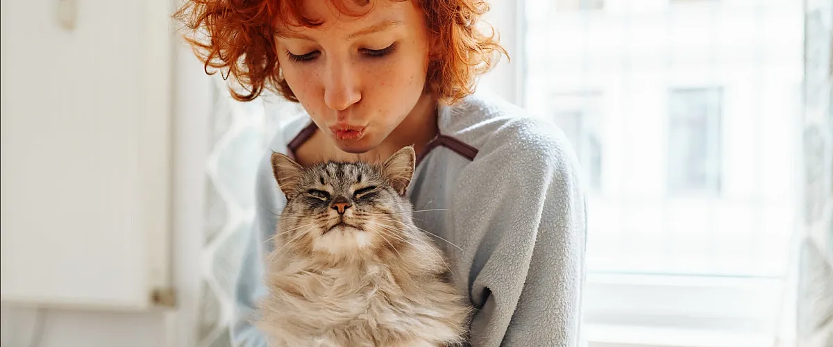 Cozy apartment scene with a cheerful person cuddling a fluffy gray tabby cat, bright window background.