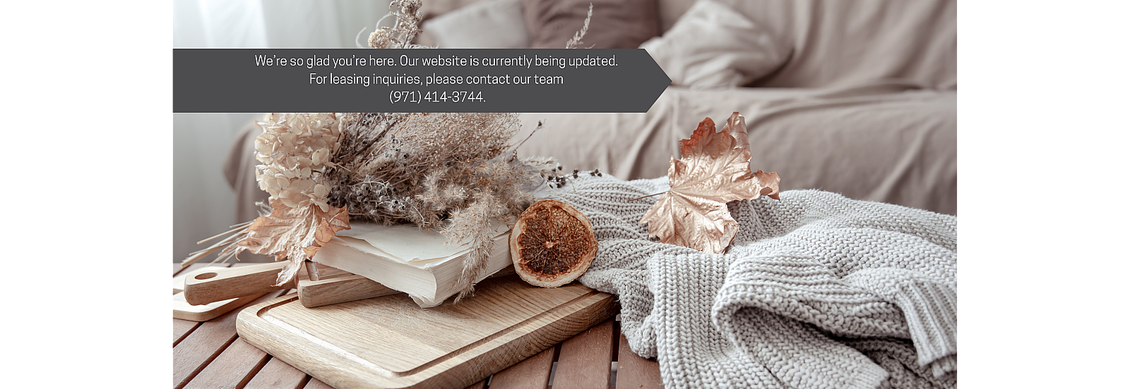 Cozy living space with natural decor, featuring dried flowers, wooden accents, and a soft knit blanket draped over a wooden coffee table.