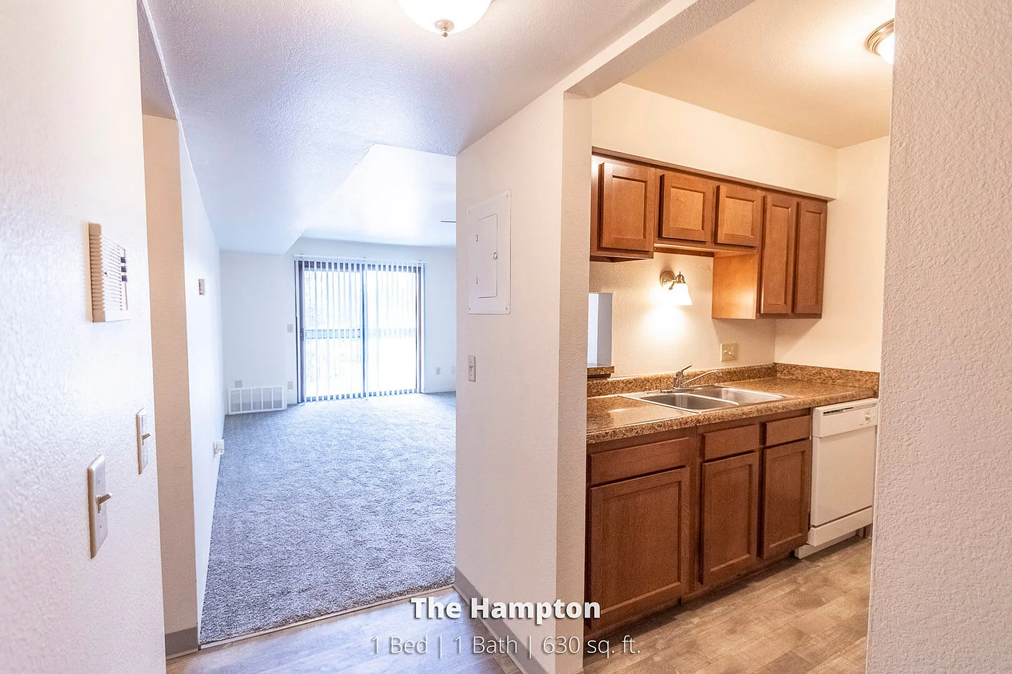 Inviting apartment layout showcasing an open living space with plush carpeting, complemented by a compact kitchen with wooden cabinetry and sleek countertops, ideal for modern living.