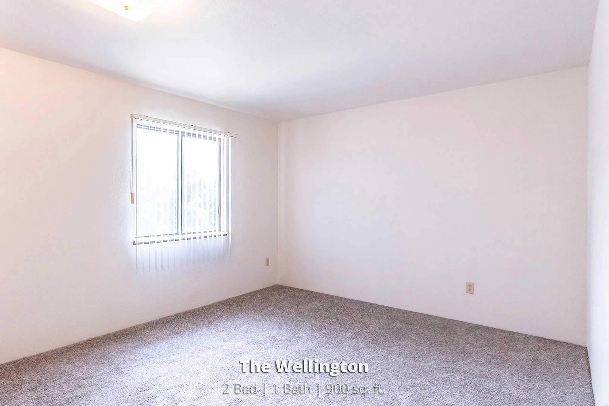 Bright and spacious room with soft carpeting and a large window, part of The Wellington's 2 Bed, 1 Bath, 900 sq. ft. offering.