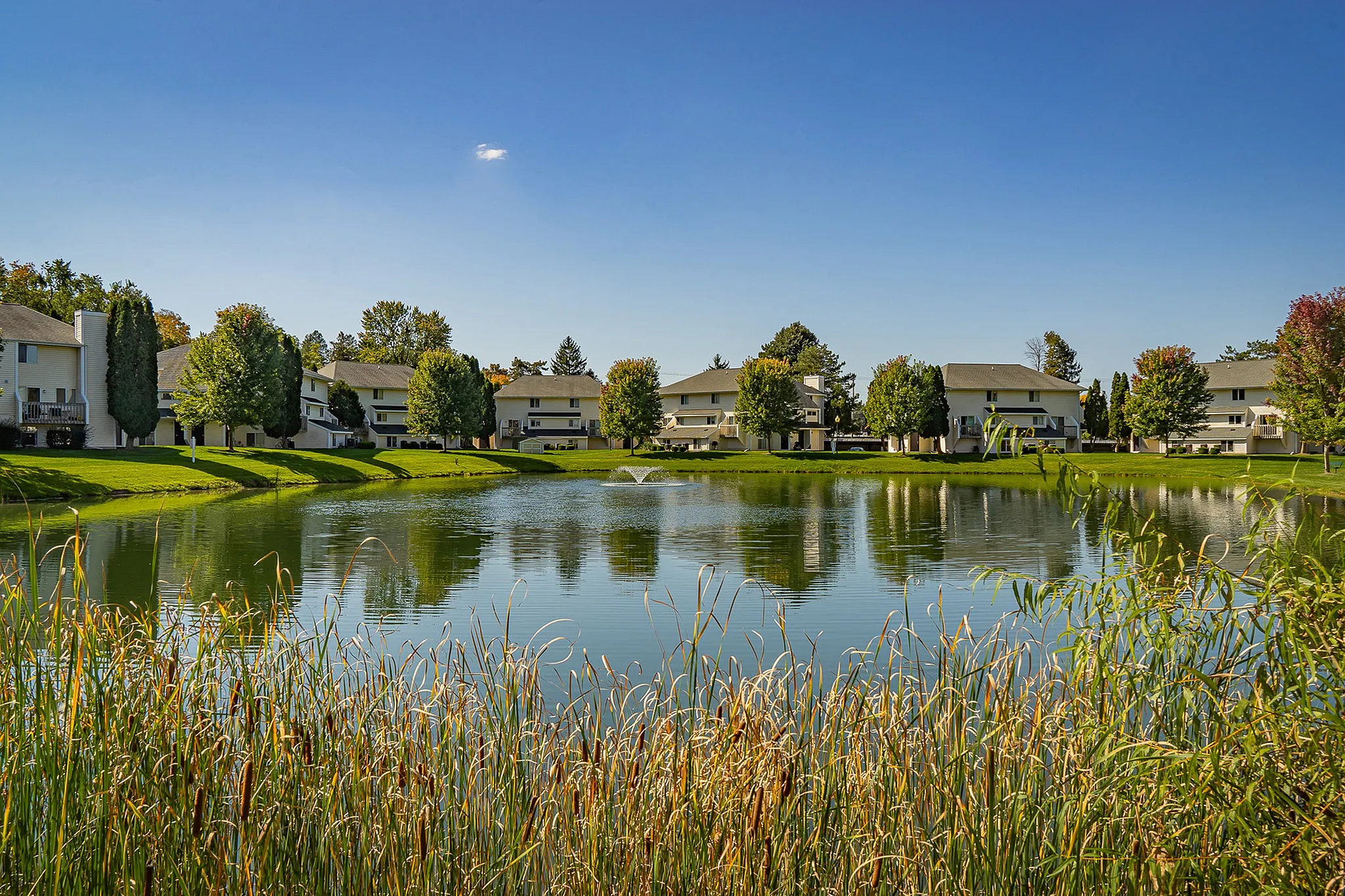 Charming lakeside apartments with serene views, surrounded by lush greenery and clear blue skies.