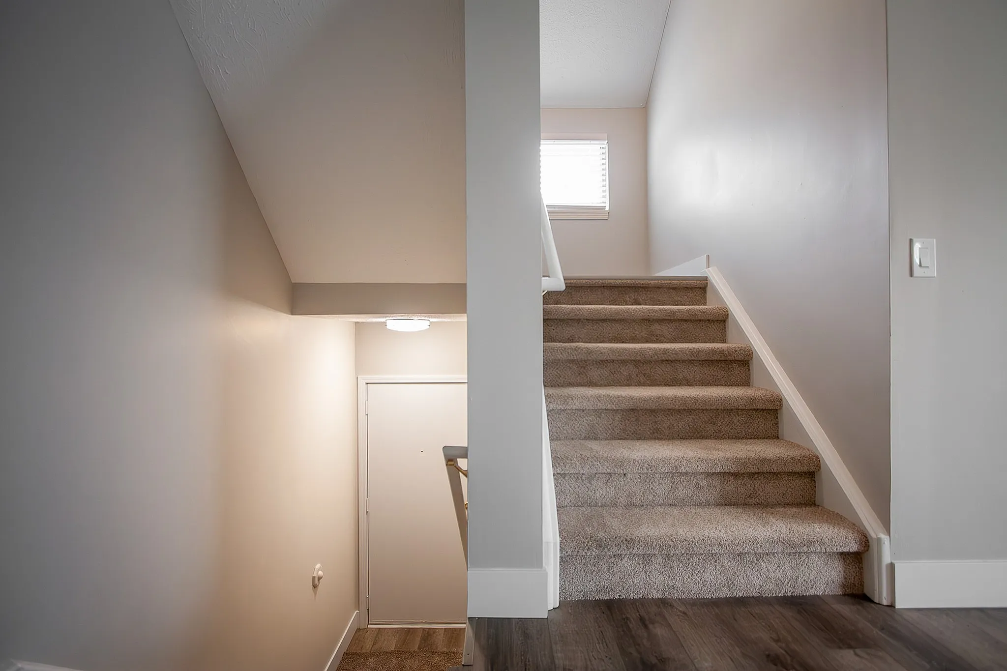 Inviting entrance with plush carpeted stairs leading to a bright, open space, offering elegance and comfort in a modern apartment setting.