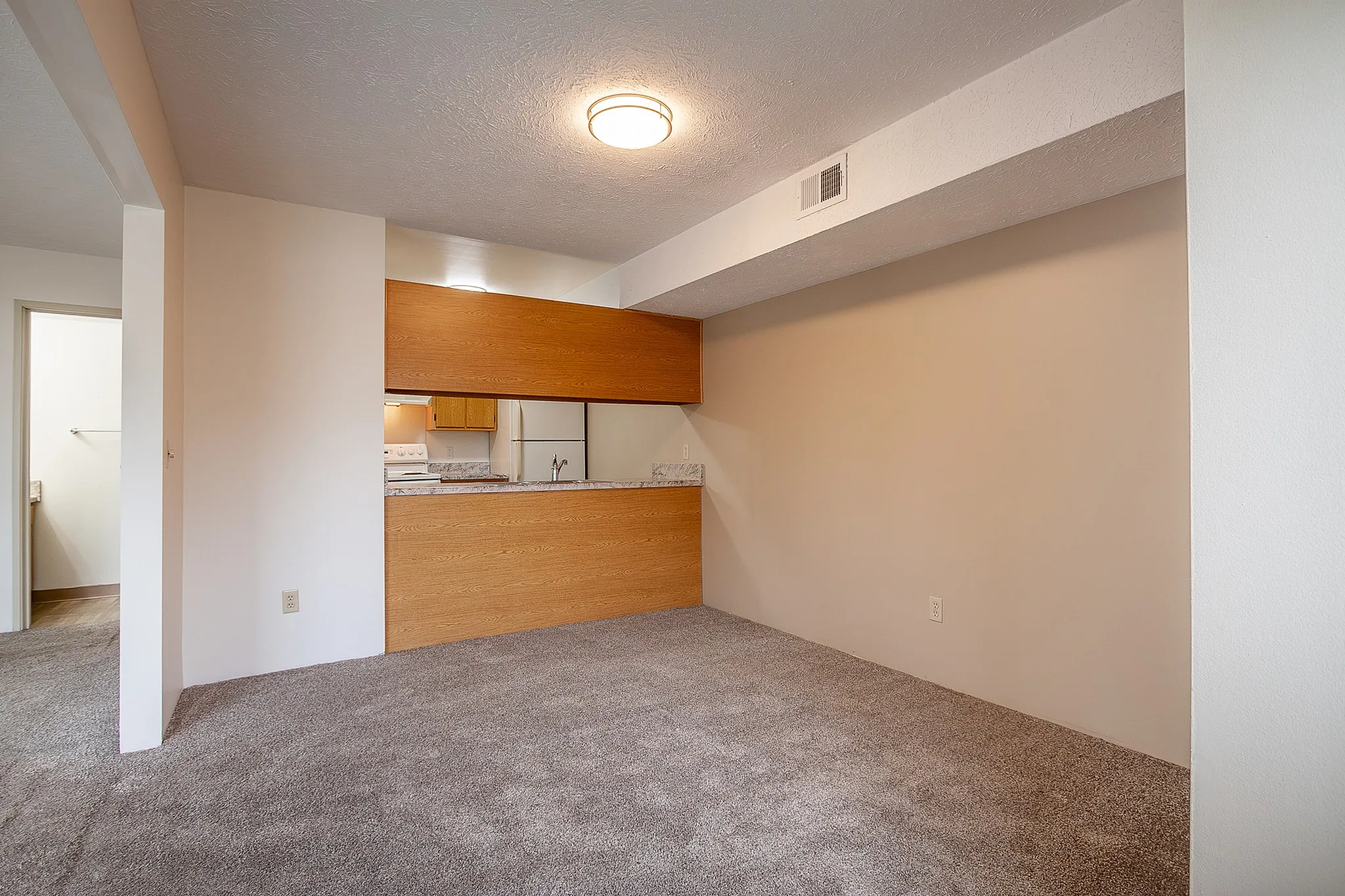 Inviting living space with soft carpeting, modern open kitchen design, and sleek wooden accents.