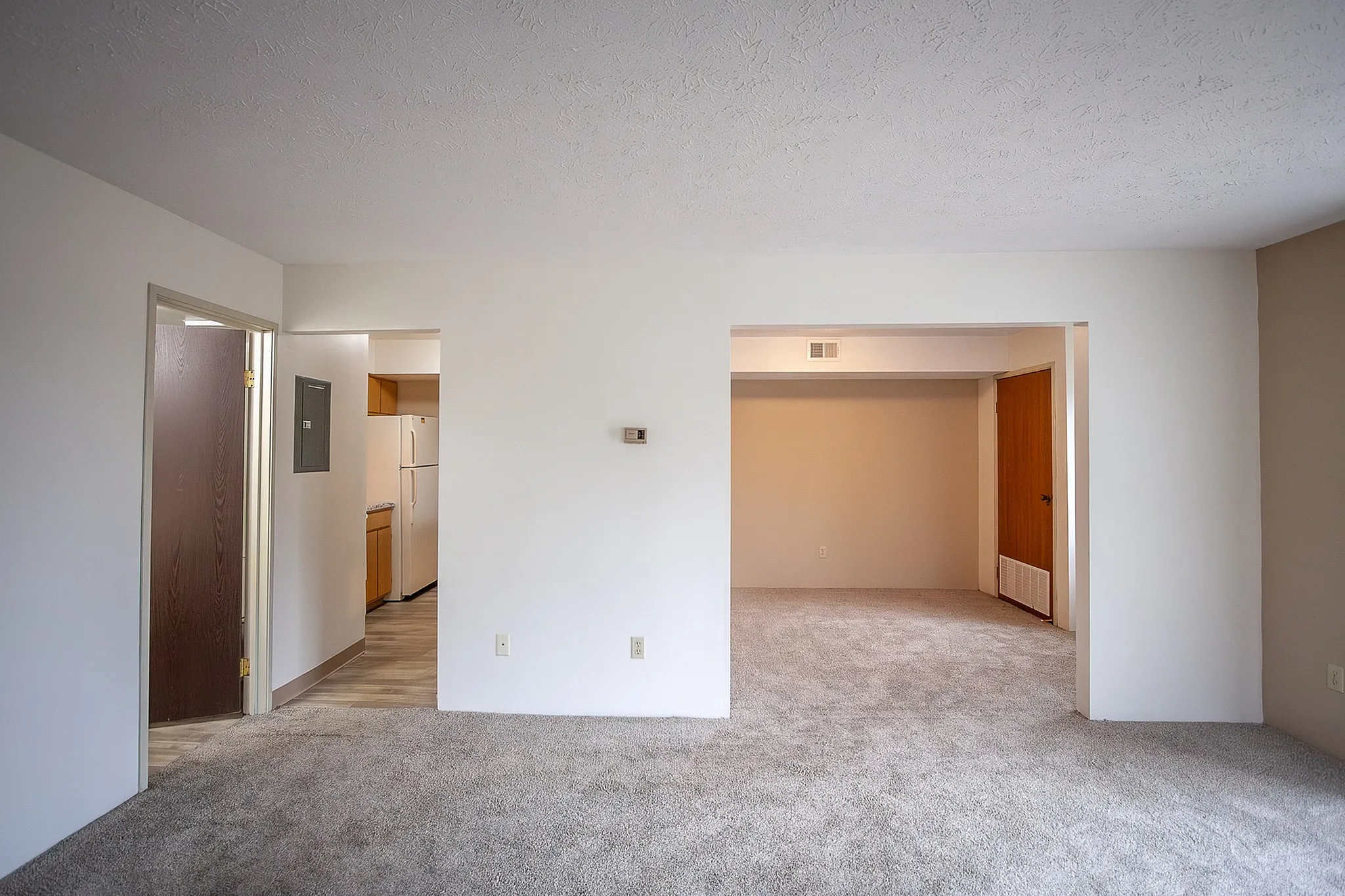 Elegant apartment interior with a cozy carpeted living area, leading to a bright kitchen with light wood cabinetry. Spacious layout with modern finishes.